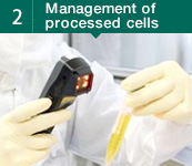 2 Management of processed cells