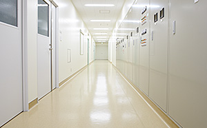 cell preparation rooms